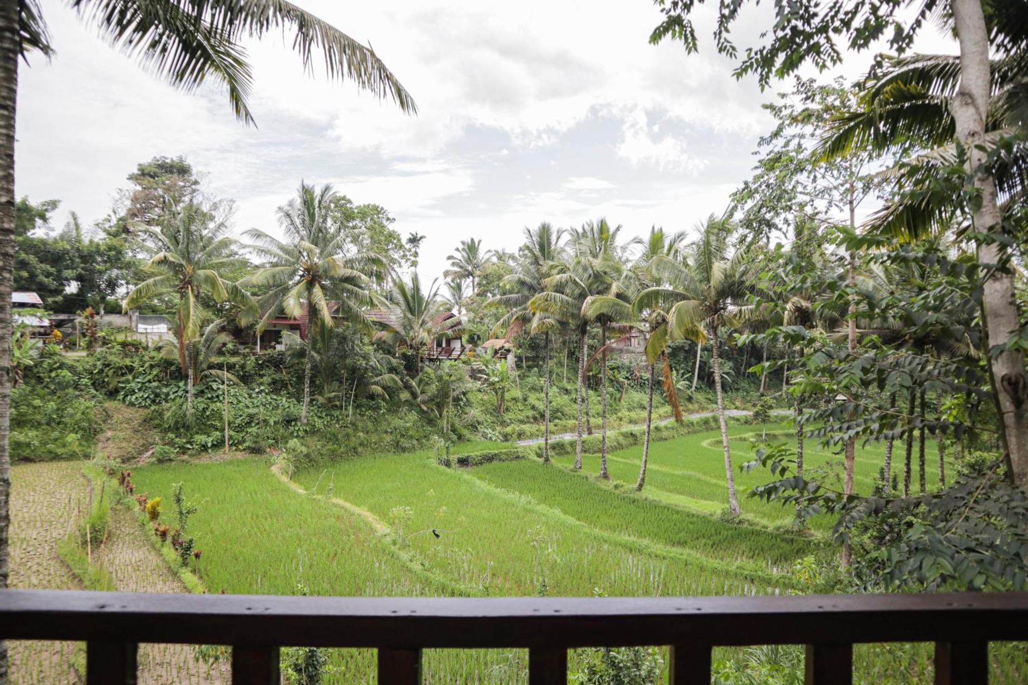 Nea Cottage Lombok Tetebatu Exterior foto