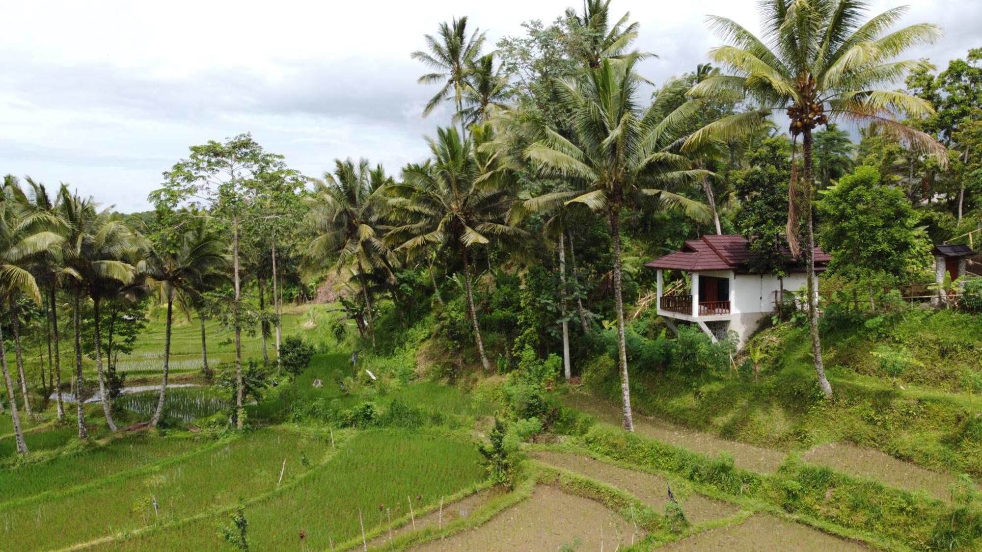 Nea Cottage Lombok Tetebatu Exterior foto