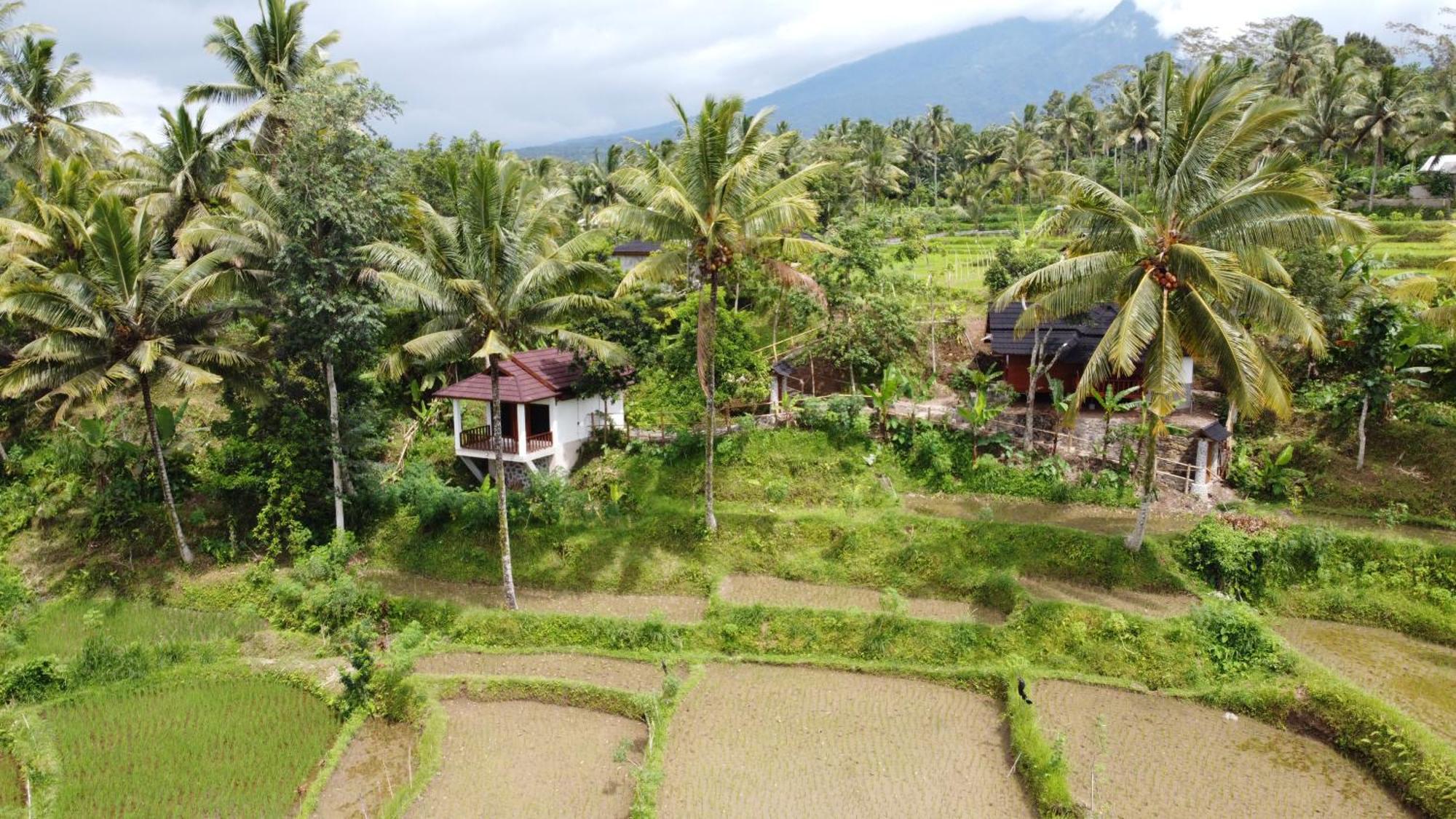 Nea Cottage Lombok Tetebatu Exterior foto