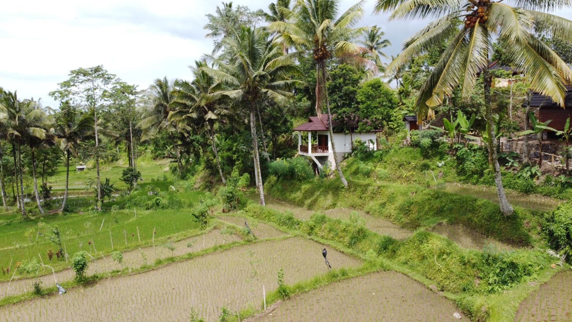Nea Cottage Lombok Tetebatu Exterior foto