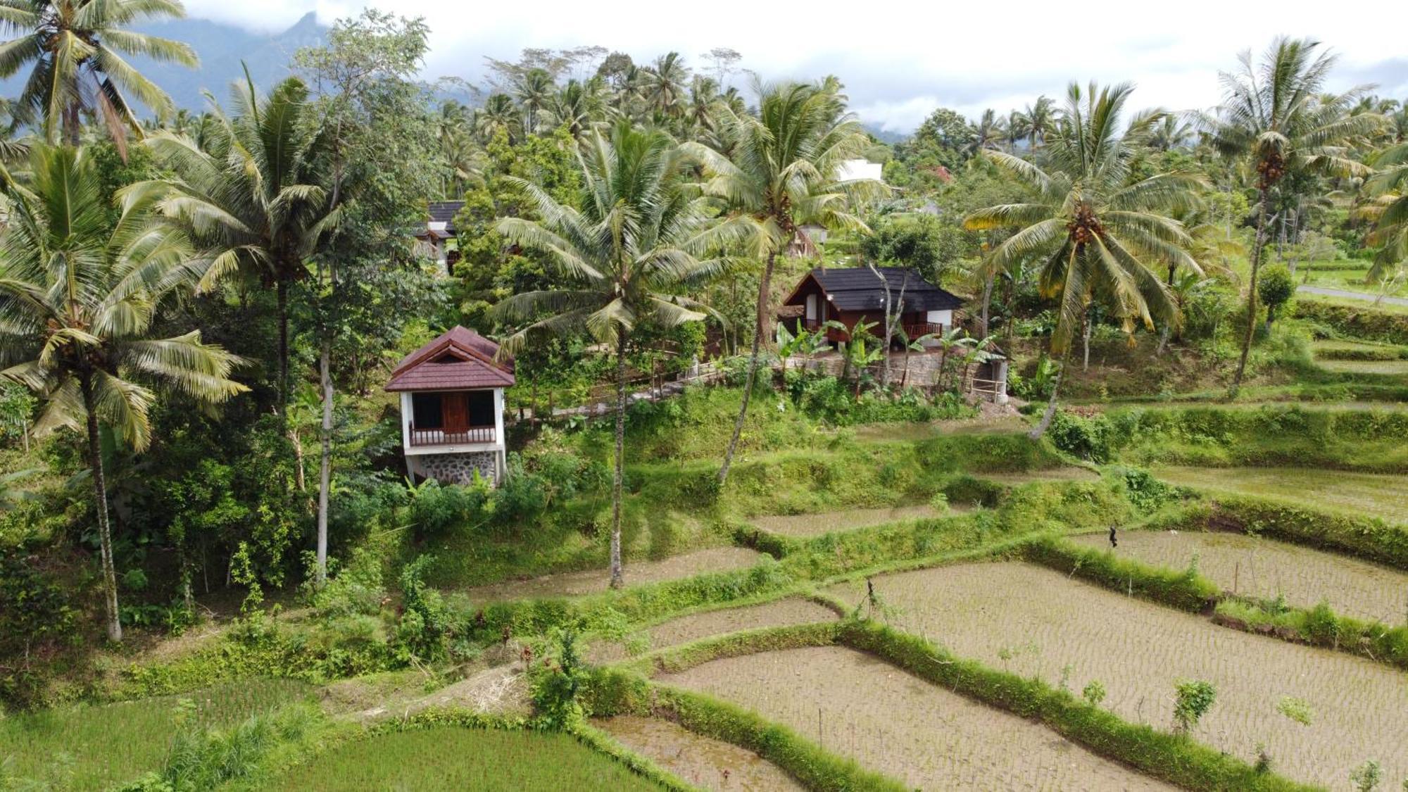 Nea Cottage Lombok Tetebatu Exterior foto