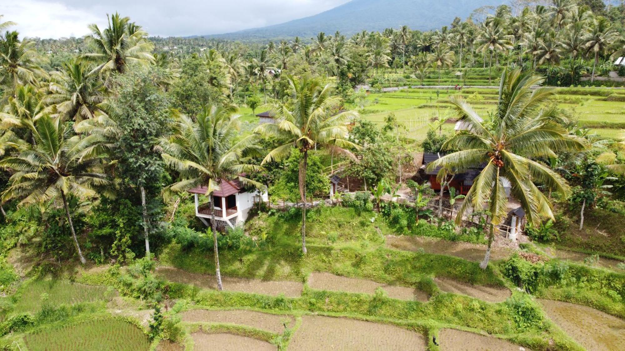 Nea Cottage Lombok Tetebatu Exterior foto