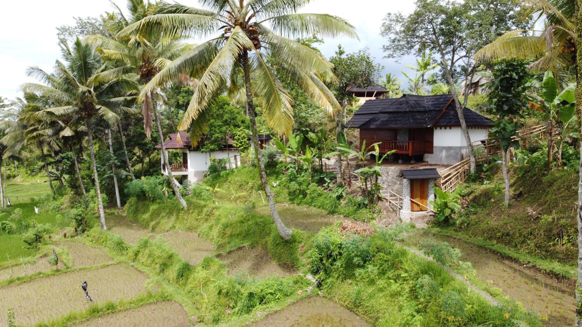 Nea Cottage Lombok Tetebatu Exterior foto