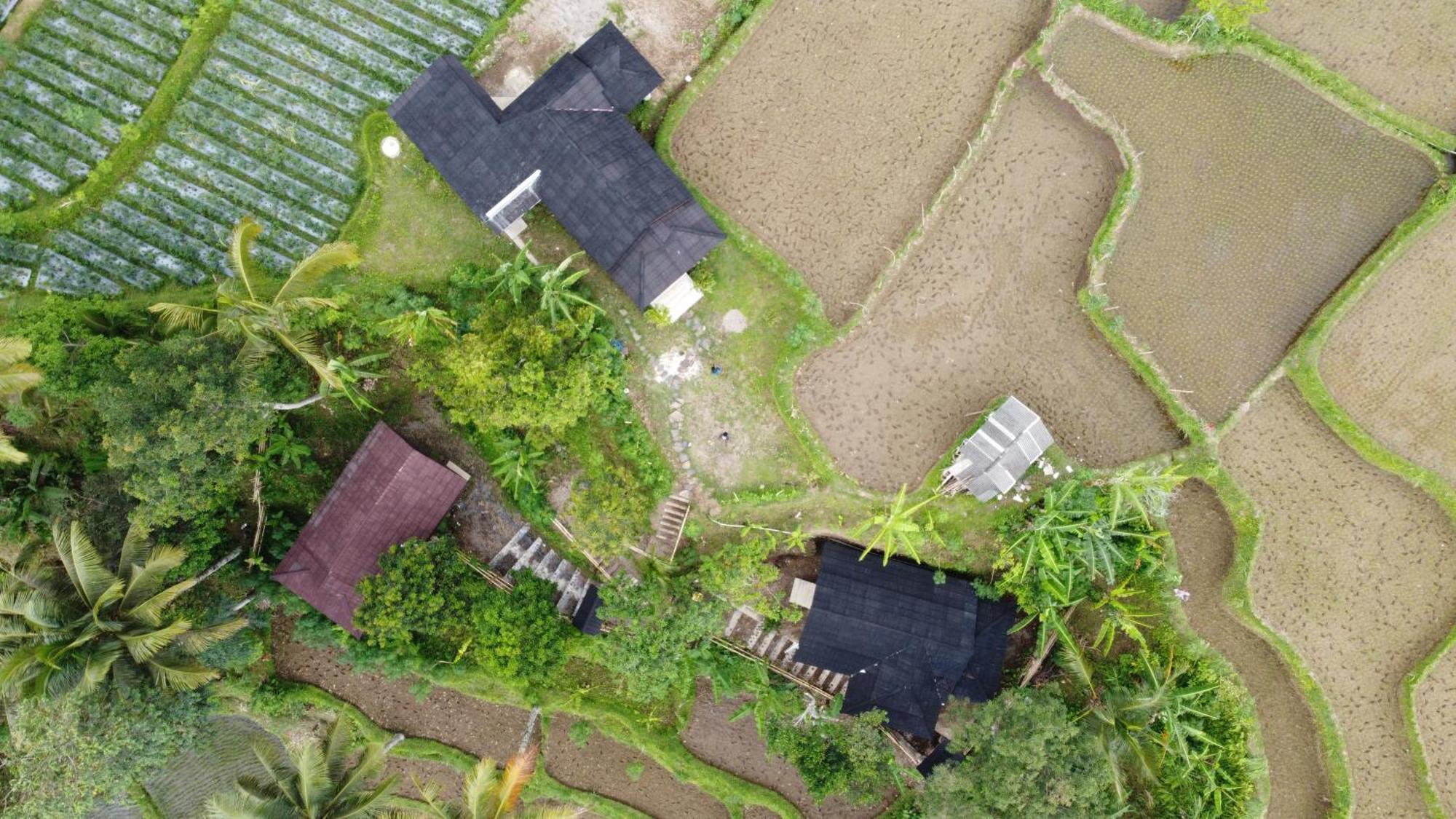 Nea Cottage Lombok Tetebatu Exterior foto