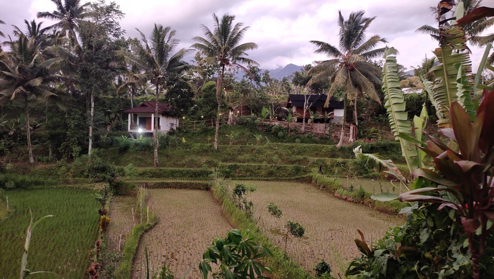 Nea Cottage Lombok Tetebatu Exterior foto