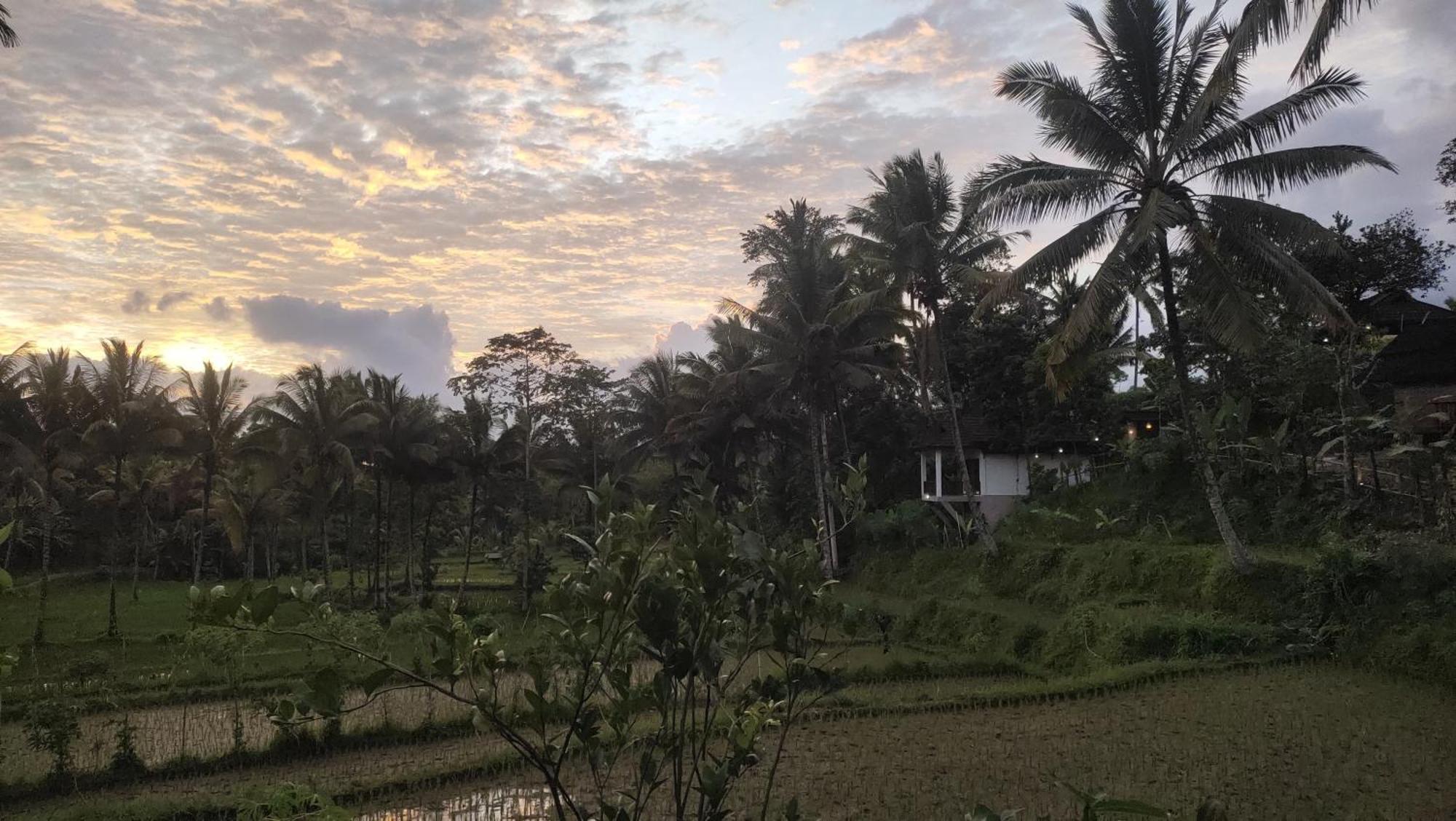 Nea Cottage Lombok Tetebatu Exterior foto